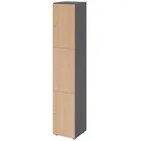 Hammerbacher -Schliessfachschrank 6OH Graphit/Eiche,3xZS-V264L3/G/E/ZS