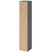 Hammerbacher -Schliessfachschrank 6OH Graphit/Eiche,6xZS-V264L6/G/E/ZS