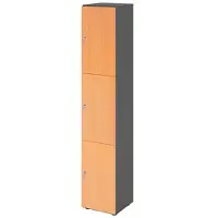 Hammerbacher -Schliessfachschrank 6OH Graphit/Buche,3xDS-V264L3/G/6/DS