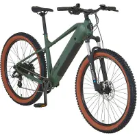 Prophete E-Bike DICE 1.0, Heckmotor, Rahmenhöhe 48 cm
