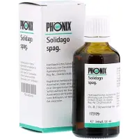Phönix Laboratorium GmbH Phönix Solidago Spag.mischung 50 ml