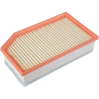 FEBI BILSTEIN Bilstein Luftfilter [Hersteller-Nr. 109410] für Jeep