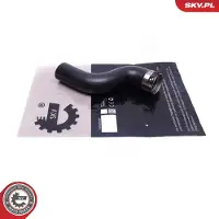 ESEN SKV 54SKV411 Turbo Ladeluftschlauch für NISSAN Qashqai / Qashqai +2 I (J10, NJ10) Qashqai II (J11, J11) JUKE (F15) NV200 / Evalia Bus