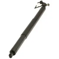 MAXGEAR Gasfeder, Einlegeboden (Koffer-/Laderaum) 12-2556