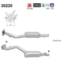 As Katalysator 30220