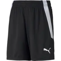 Puma Kindershorts Team Liga