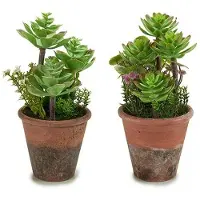 Ibergarden Dekorative Plastik-Sukkulente Ibergarden XD16-849 - 12 Einheiten