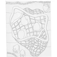 Creativ Company CC Painter Leinwand mit Druck Zitrusfrüchte 24x30 cm