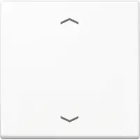 JUNG Steuertaste Standard A 1700 P WW A1700PWW