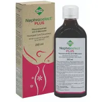 Dreluso-Pharmazeutika Dr. Elten & Sohn GmbH Nephroselect Plus 250 ml