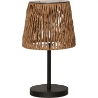 Star Trading Solar-Tischleuchte Cesta Wasserhyazinthe Dämmerung 48cm
