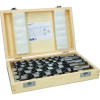 Bosch PRO Schlangenbohrer-Set, 6-teilig, 10 - 20 mm, 160 mm, 235 mm - 2607019322