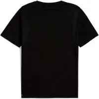 Puma Herren Shirt FIT Triblend Ultrabre