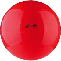 Gymnic Fitnessball 1 St