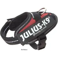 JULIUS K-9 Idc Power Baby Hundegeschirr
