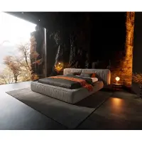 DELIFE Polsterbettgestell Coperti 180x200 cm Mikrofaser Grau