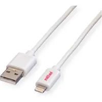 Roline USB 2.0 Sync- & Ladekabel mit 8pin-Connector, weiß, 1,8 m
