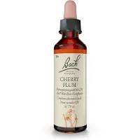 Nelsons GmbH Bachblüten Cherry Plum Tropfen 20 ml