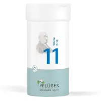 Pflüger Biochemie Biochemie Pflüger 11 Silicea D 12 Pulver 100 g