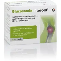 Intercell-Pharma GmbH Glucosamin Intercell Kapseln 120 St