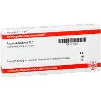 DHU Fucus Vesiculosus D 6 Ampullen 8x1 ml