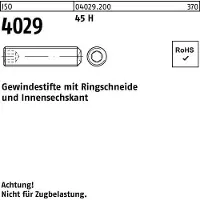 F. REYHER Nchfg. GmbH & Co. KG Gewindestift ISO 4029 Ringschneide/Innen-6-kant M 6 x 45 45 H