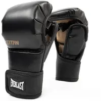 Everlast Titan Hybrid Kunstleder-boxhandschuhe
