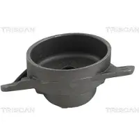 TRISCAN Federbeinstützlager 8500 29921