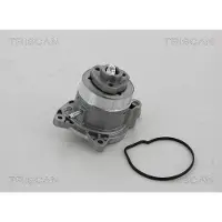 TRISCAN Wasserpumpe 8600 29056