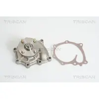 TRISCAN Wasserpumpe [Hersteller-Nr. 860043009] für Hyundai, Kia