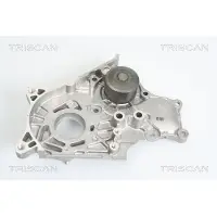 TRISCAN Wasserpumpe 8600 13035