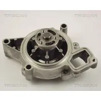 TRISCAN Wasserpumpe 8600 24015