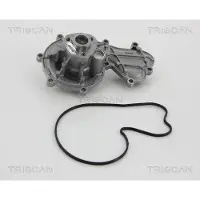 TRISCAN Wasserpumpe 8600 29058
