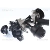 TRISCAN Wasserpumpe 8600 23077