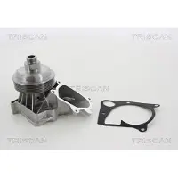 TRISCAN Wasserpumpe 8600 11036