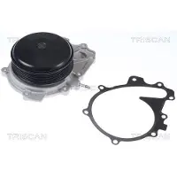 TRISCAN Wasserpumpe 8600 23079