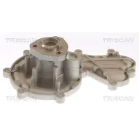 TRISCAN Wasserpumpe 8600 29096