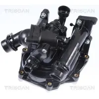 TRISCAN Wasserpumpe 8600 29090