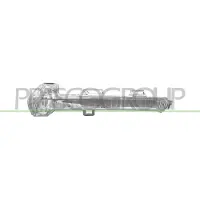 PRASCO Blinkleuchte VG0567416