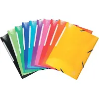 Exacompta Sammelmappe mit 3 Klappen und Gummizug Maxi Kapazität Iderama A4