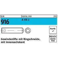 F. REYHER Nchfg. GmbH & Co. KG Gewindestift DIN 916 Ringschn./Innen-6-Kant M 20 x 35 A1/A 2