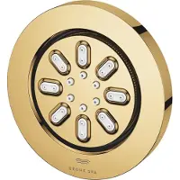 GROHE Rainshower Aqua, Gold, 1 Stück(e)