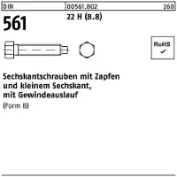 Industrial Quality Supplies Sechskantschraube DIN 561 m.Zapfen BM 8 x 60 22 H (8.8)
