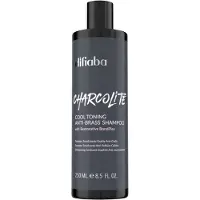 Difiaba Charcolite Cool Toning Anti-Messing Shampoo