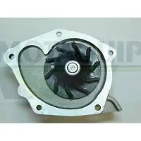 MOTAQUIP Wasserpumpe VWP834