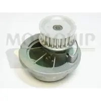 MOTAQUIP Wasserpumpe VWP828