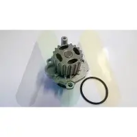 MOTAQUIP Wasserpumpe LVWP1062