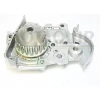 MOTAQUIP Wasserpumpe VWP741