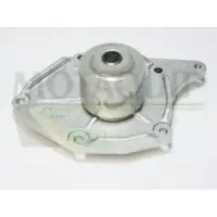 MOTAQUIP Wasserpumpe VWP827