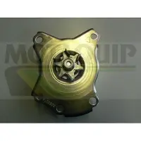 MOTAQUIP Wasserpumpe VWP851